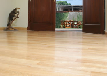 Colocar pisos flotantes de madera