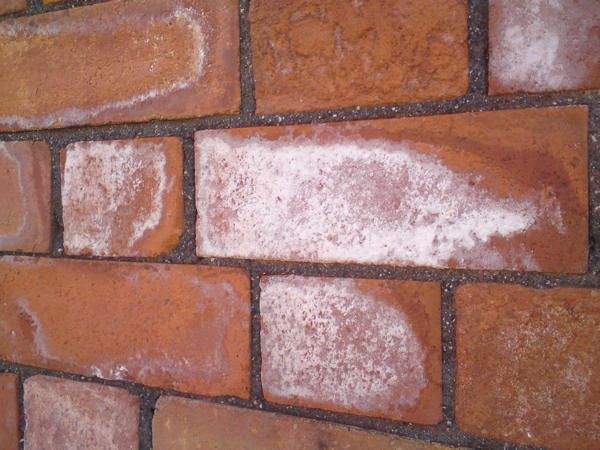 Cómo limpiar el salitre de una pared de ladrillos