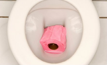basura inodoro1