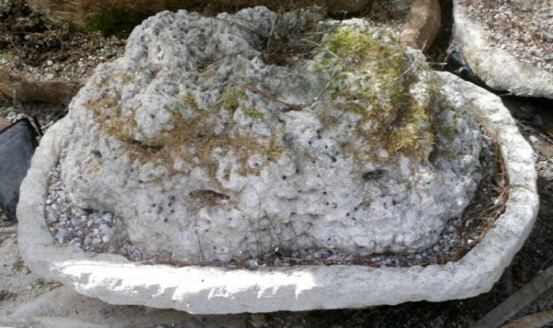 Cómo hacer rocas artificiales con cemento